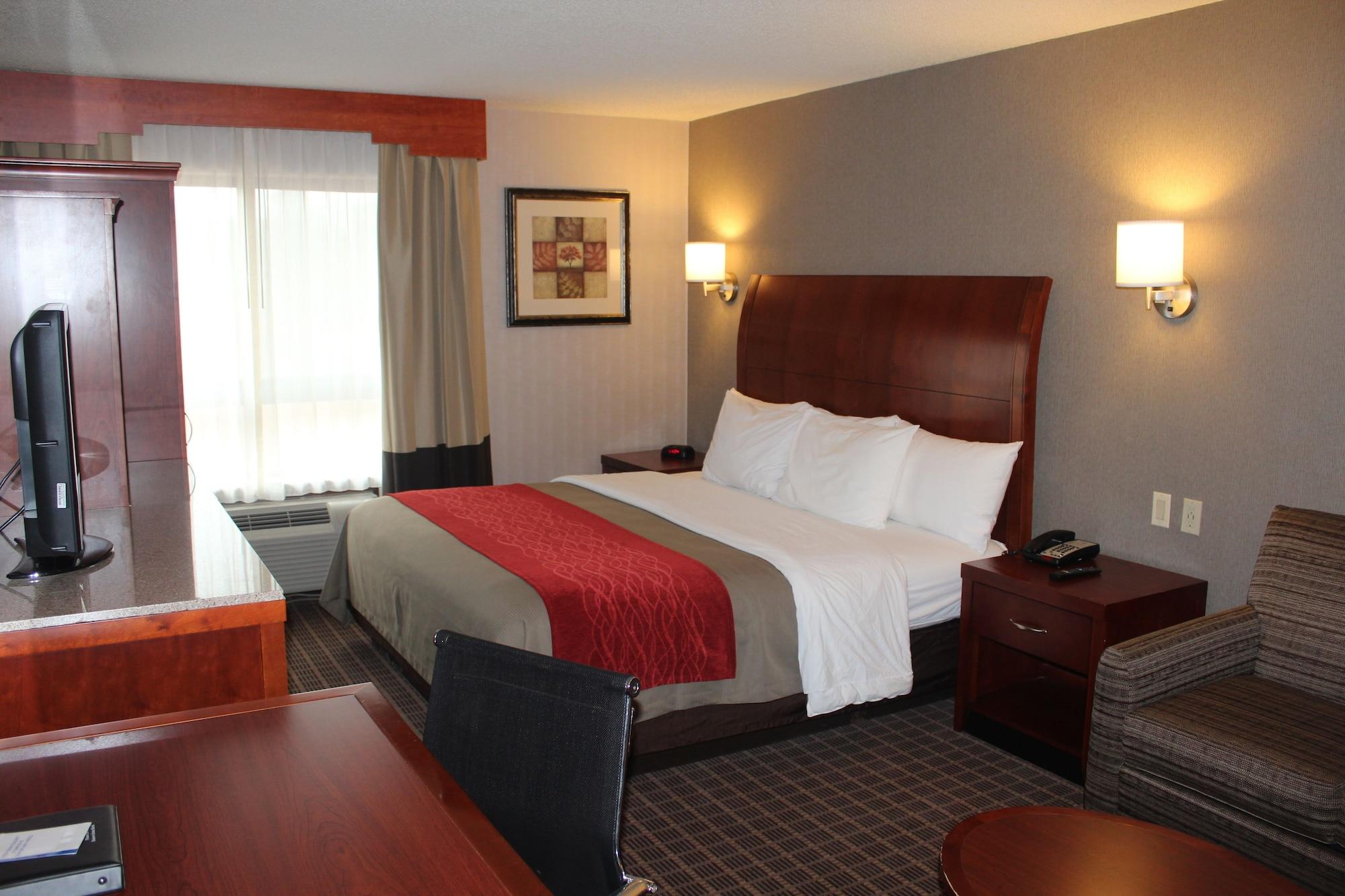 Comfort Inn & Suites West Springfield Buitenkant foto